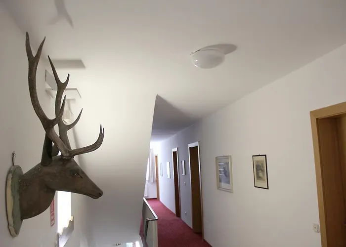 Edlinger זלצבורג